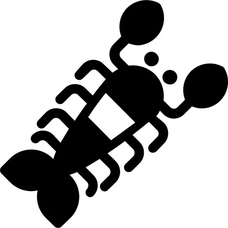 龙虾