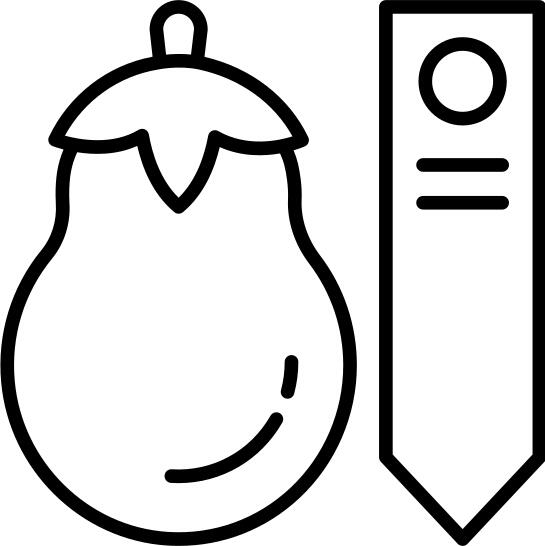 Eggplant