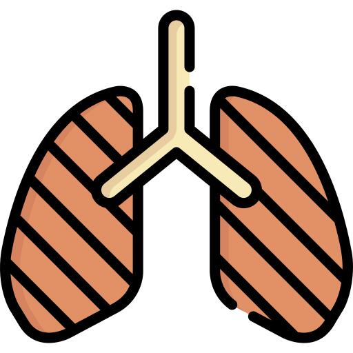 Lungs