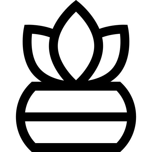 蕨类