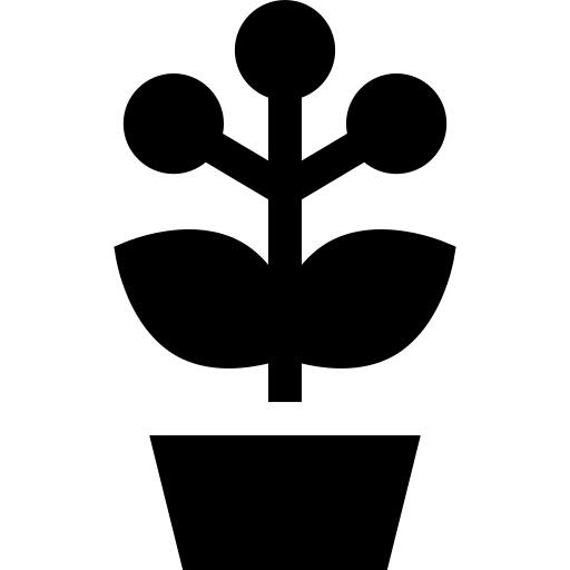 花盆