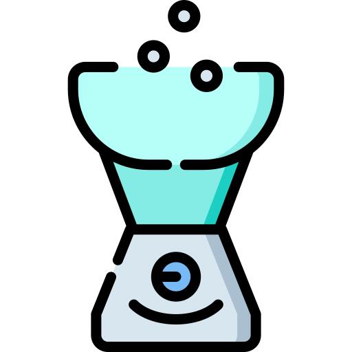Facial steamer