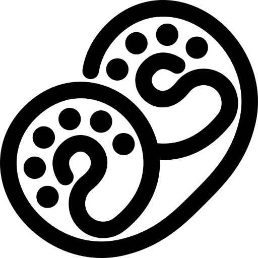 椒盐脆饼