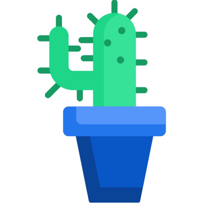 Cactus