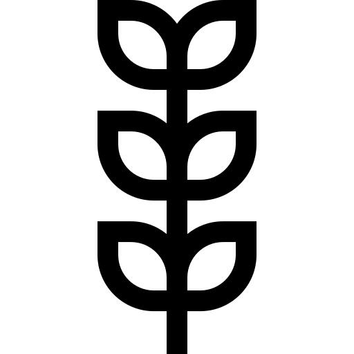 种植植物