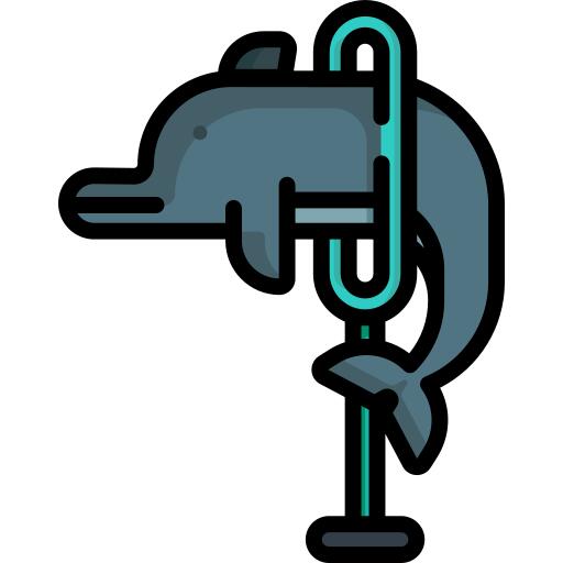 海豚