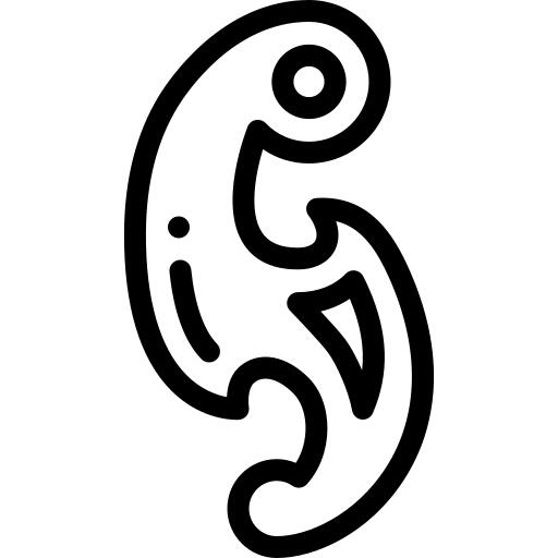 French curve
