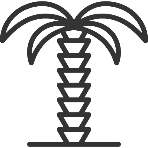 Palm tree