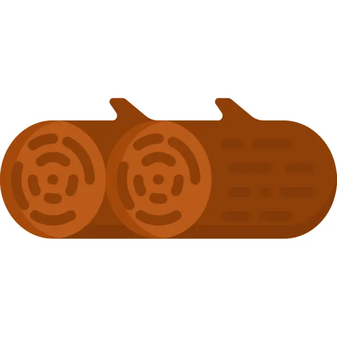 日志