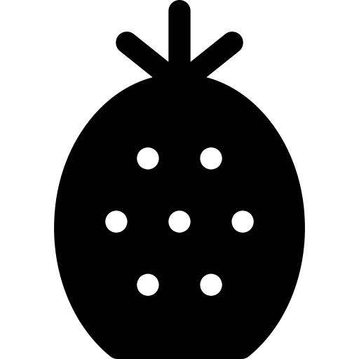 菠萝