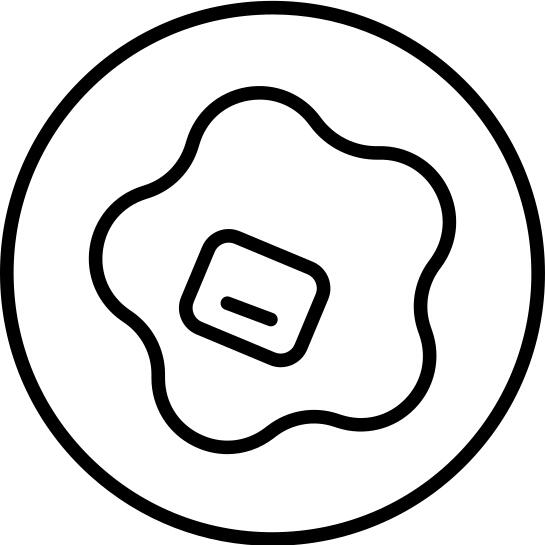 蛋