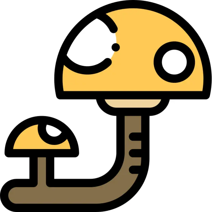 Mushroom