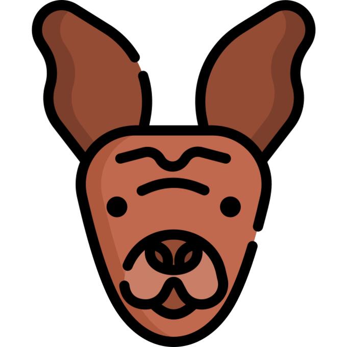 Xoloitzcuintle