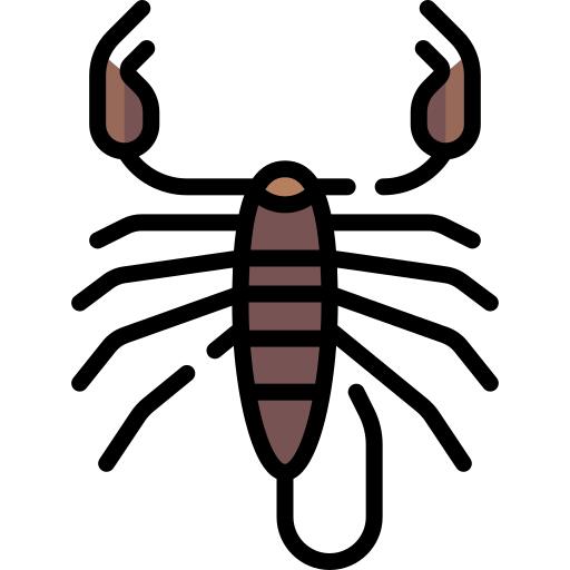蝎