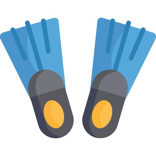 Flippers