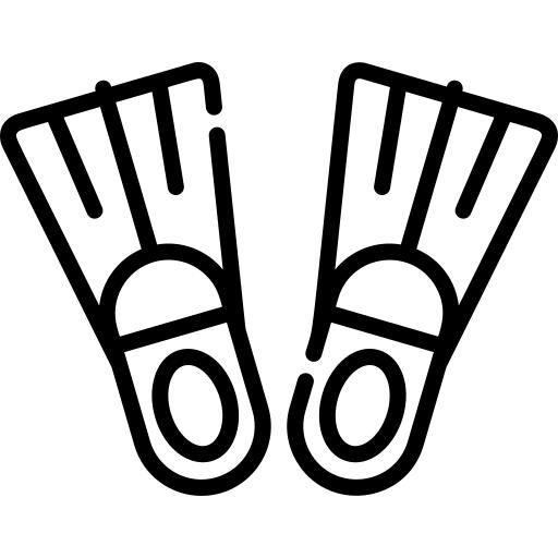 Flippers