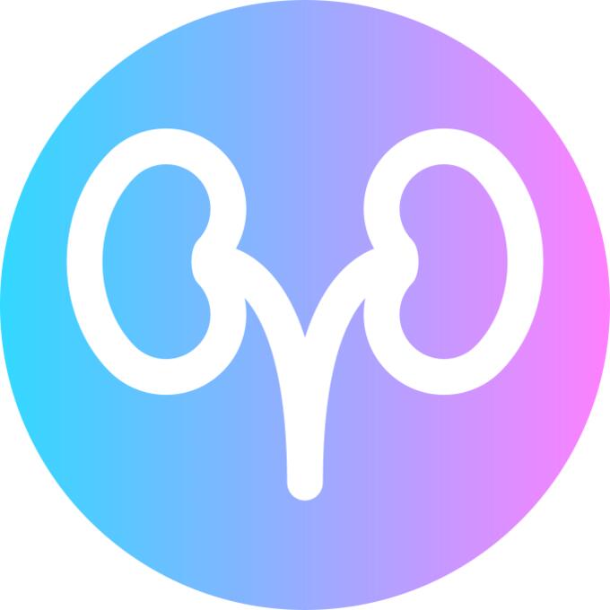 Kidneys