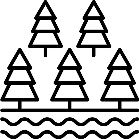 Trees