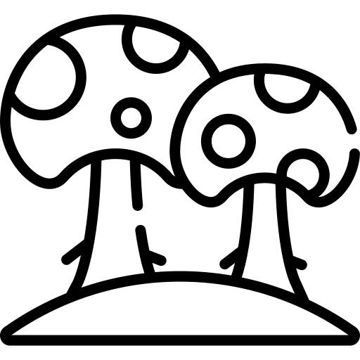 Mushroom
