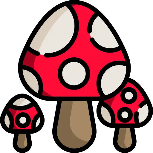 Mushroom