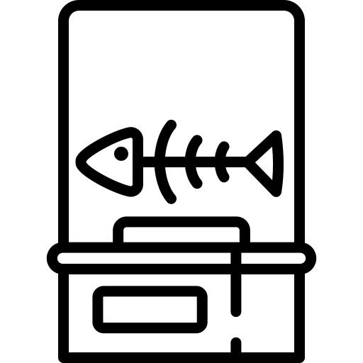 鱼刺