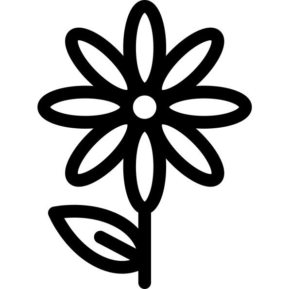 Camomile