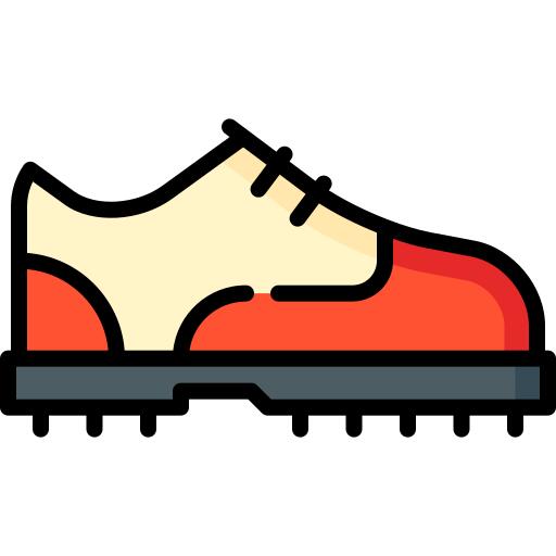 Shoe