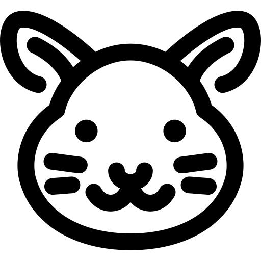 龙猫