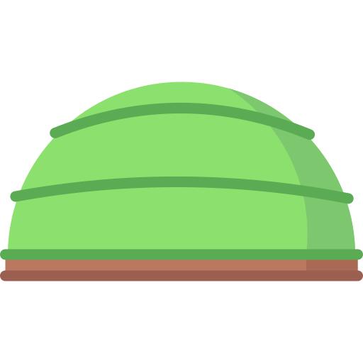 Bosu ball