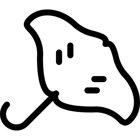 Ray