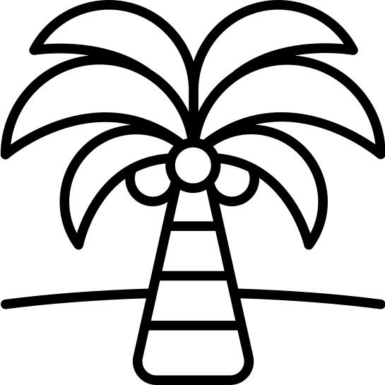 棕榈树