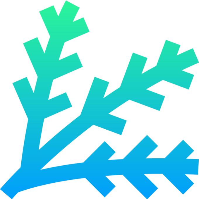 Spruce