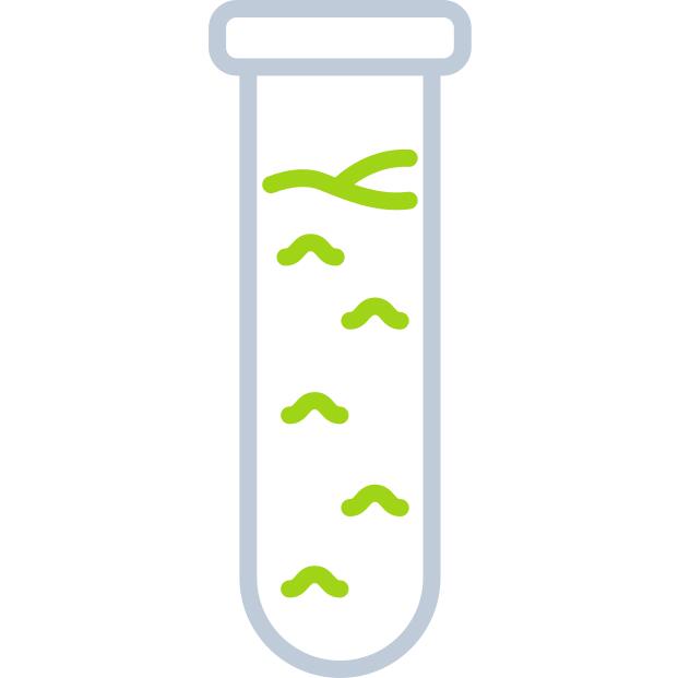 Test tube
