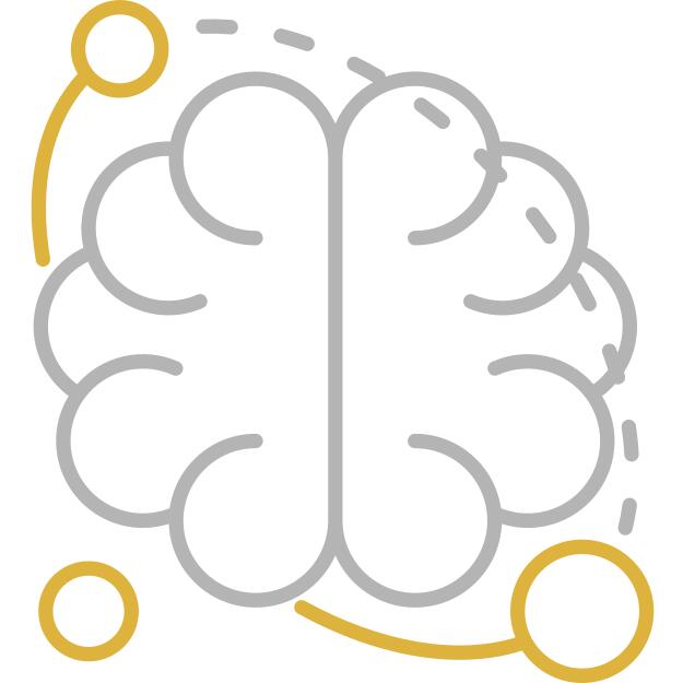 Brain