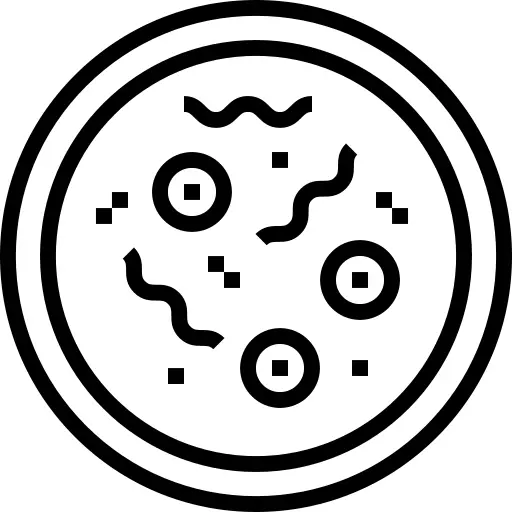 Petri dish