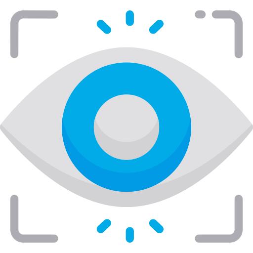 Eye