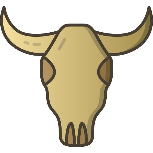 Cow skull