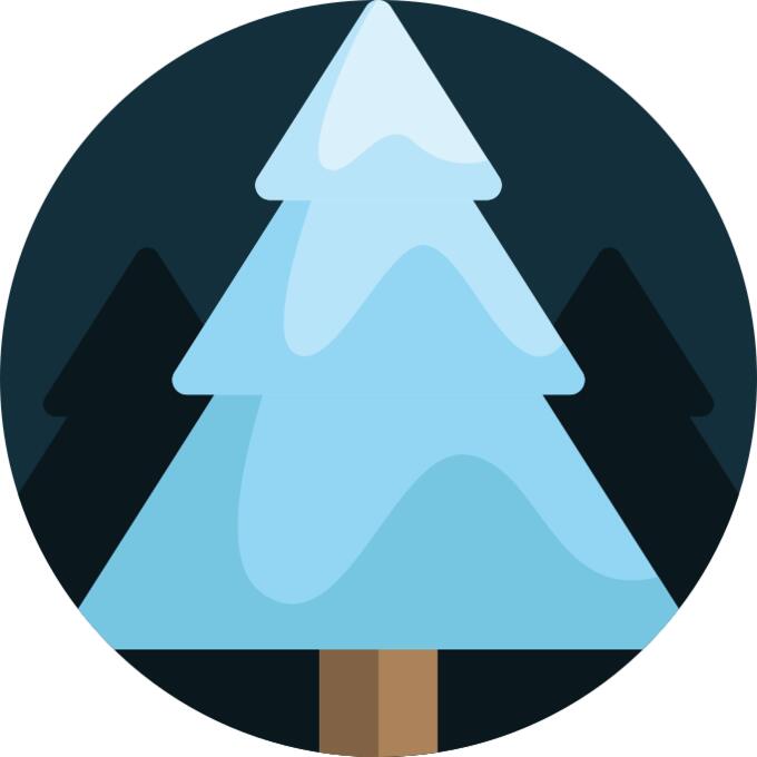 Pine tree