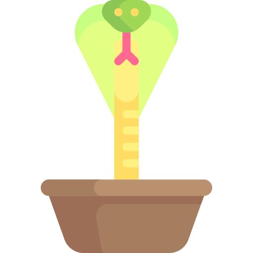 Cobra