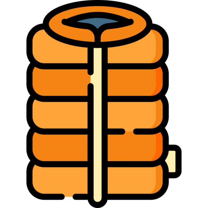 Vest