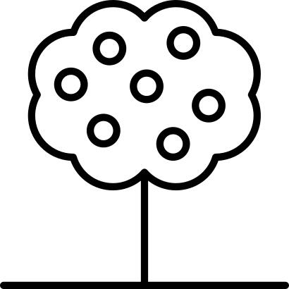 Fruit tree