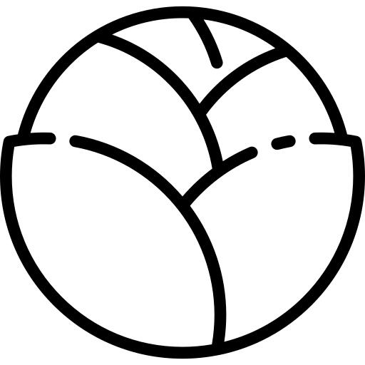 Cabbage