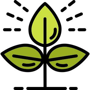 Planting