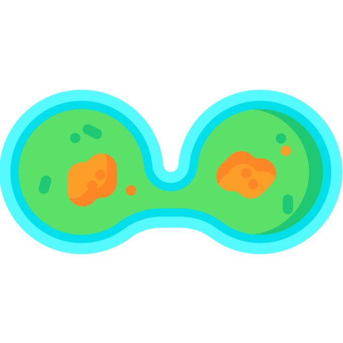 Amoeba