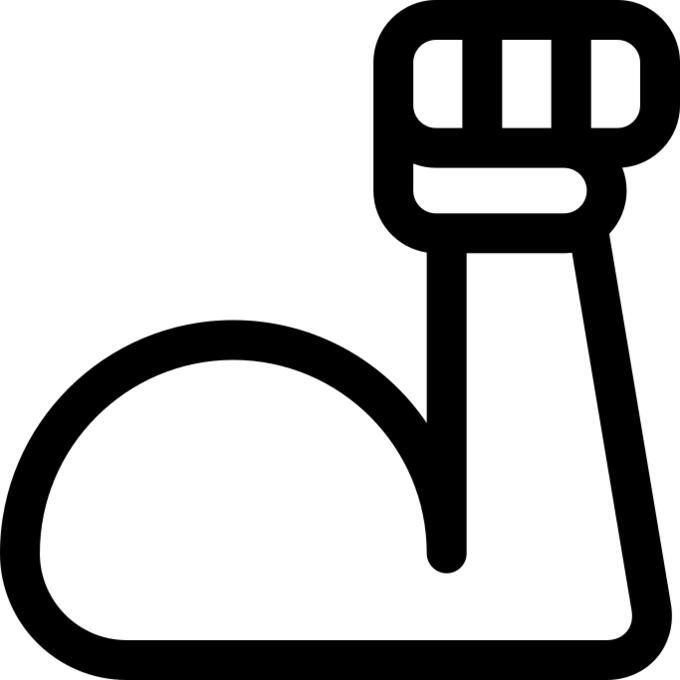 Muscle