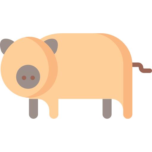 Pig