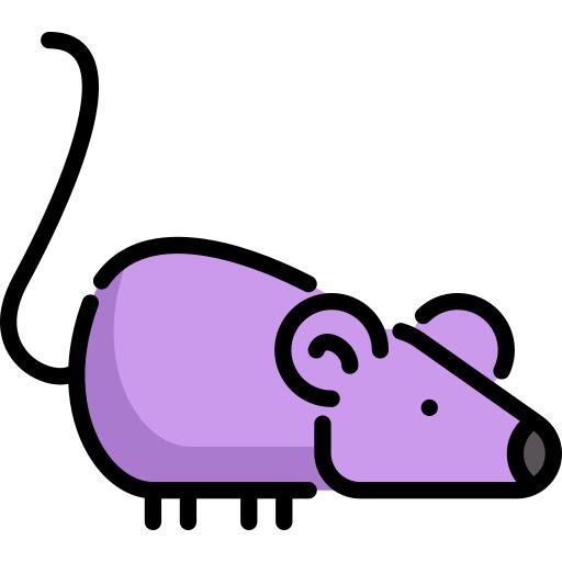 鼠