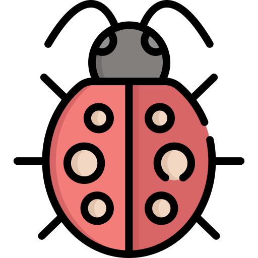 Ladybug