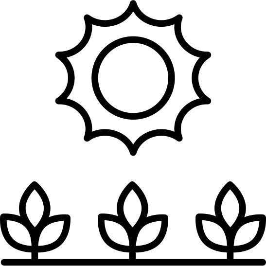 Crops