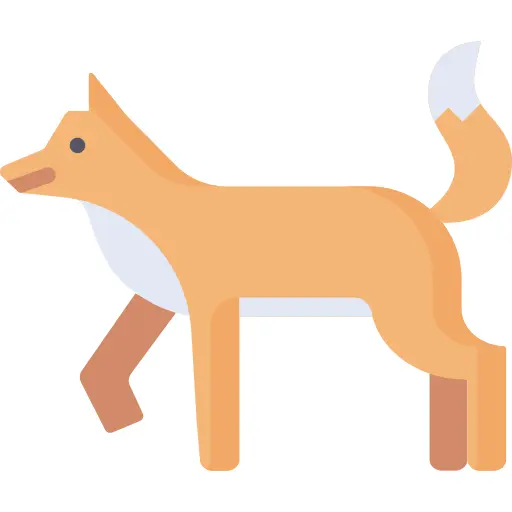 狐狼